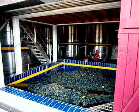 The grape receiving bay at Chateau   LafiteRothschild Pauillac