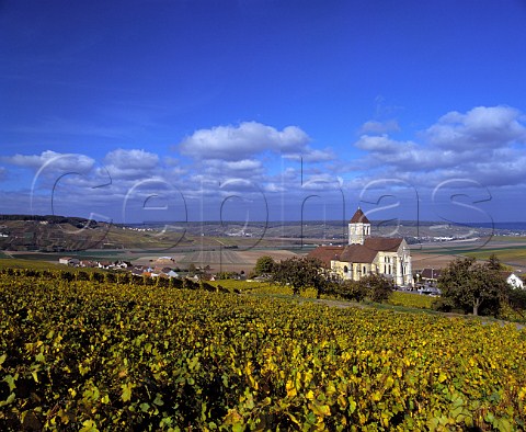 Autumnal Chardonnay vineyard above the church at Cuis on the Cte des Blancs south of pernay Marne   France    Champagne