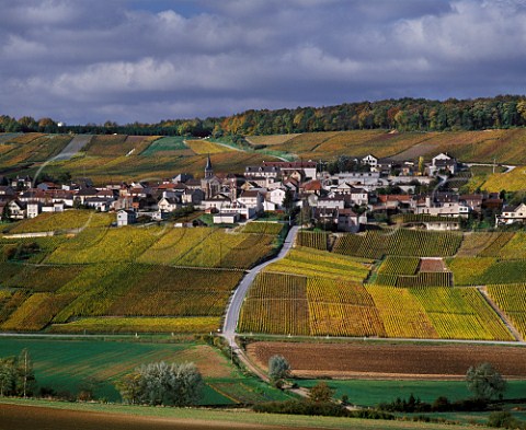Autumnal vineyards surround the village of Monthelon south of pernay Marne France   Champagne