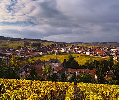 The village of Le MesnilsurOger which surrounds the small walled vineyard of Clos du Mesnil owned by Krug  Marne France  Cte des Blancs  Champagne