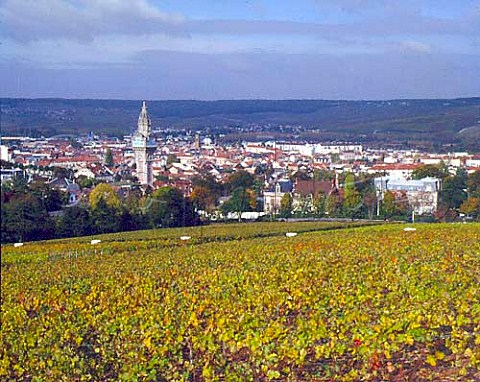 Vineyard of Champagne Mercier with the tower of De Castellane beyond pernay  Marne France  Champagne