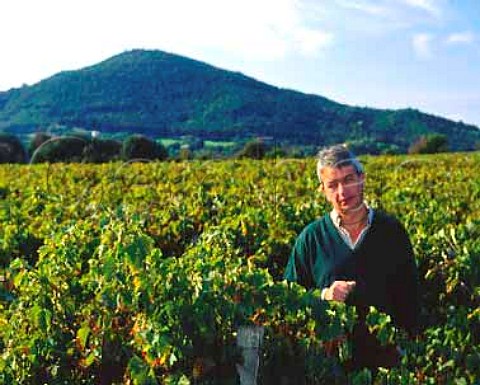 Jacques Bianchetti of Clos Capitoro in vineyard of   Sciacarello vines Pisciatella Corsica  AC Ajaccio