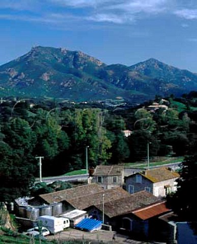 Premises of Clos Capitoro at Pisciatella Corsica    AC Ajaccio