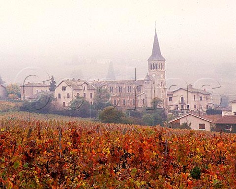 Foggy autumn day at Chnas France MoulinVent  Beaujolais