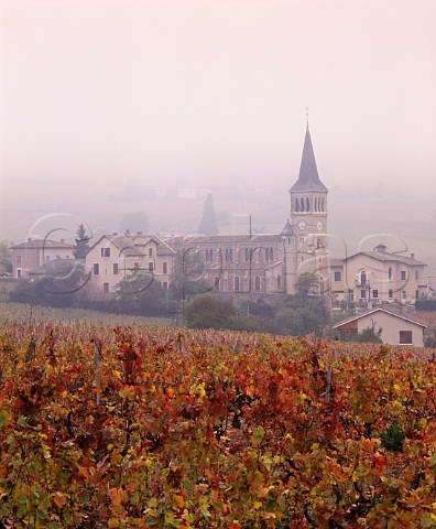View over autumnal Gamay vineyard to village of Chnas on a foggy autumn day  Rhne France  MoulinVent  Beaujolais