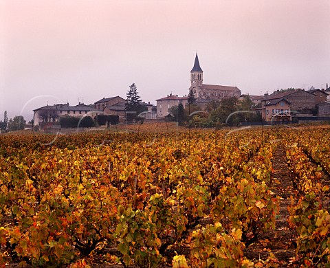 Autumnal vineyards at Julinas   Rhne France   Julinas  Beaujolais