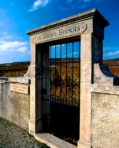 Gateway of Domaine Franois Gaunoux in the wall of   Premier Cru vineyard Les Grands Epenots Pommard   Cte dOr France      Cte de Beaune