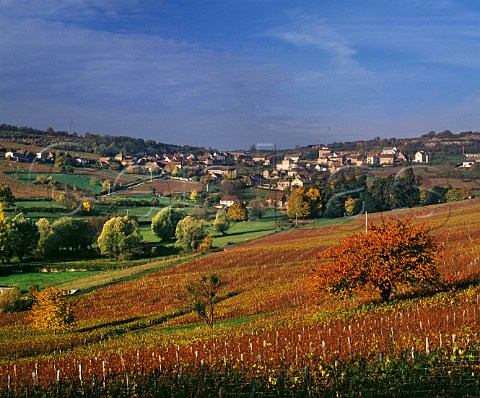 View over autumnal vineyards to village of MontagnylsBuxy SaneetLoire France Montagny  Cte Chalonnaise  