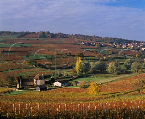 View over autumnal vineyards to village of MontagnylsBuxy SaneetLoire France  Montagny  Cte Chalonnaise