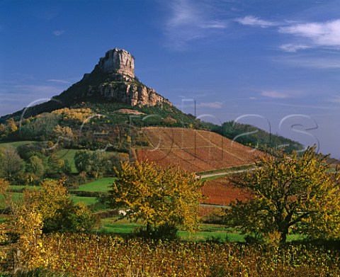Chardonnay vineyards in late autumn below the Rock of Solutr SolutrPouilly SaneetLoire France PouillyFuiss  Mconnais