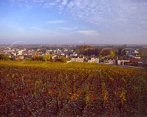 Les Argillires vineyard above Prmeaux Prissey near the southern end of the Cte de Nuits this is one of its narrowest points just 200 metres wide Wines from here are sold as NuitsStGeorges Cte dOr France  