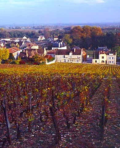 Les Argillires vineyard above Prmeaux Prissey near the southern end of the Cte de Nuits this is one of its narrowest points just 200 metres wide Wines from here are sold as NuitsStGeorges Cte dOr France