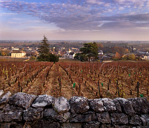 Les Argillires vineyard above PrmeauxPrissey near the southern end of the Cte de Nuits at one of its narrowest points just 200 metres wide Wines from here are sold as NuitsStGeorges Cte dOr France  