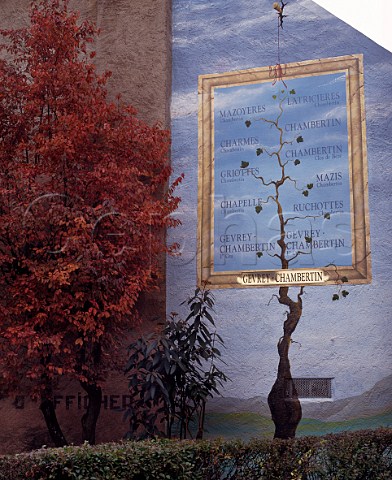 Trompeloeil depicting the Chambertin vineyards on a building in GevreyChambertin Cte dOr France   Cte de Nuits 