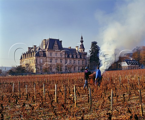 Burning vine prunings in vineyard at Brochon the chteau is now part of a school Cte dOr France Cte de Nuits