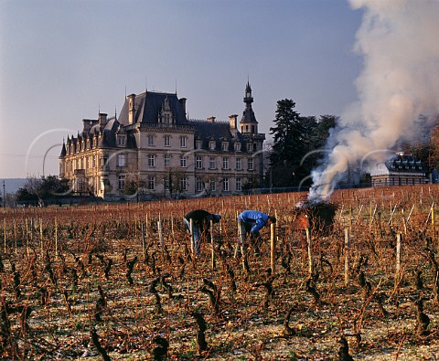 Burning vine prunings in vineyard at Brochon the chteau is now part of a school Cte dOr France Cte de   Nuits