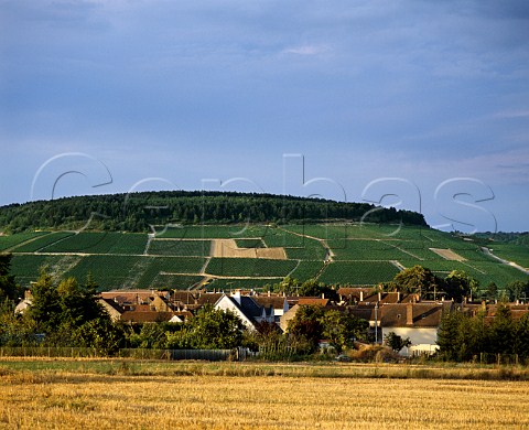 The town of Chablis with the Grand Cru vineyards of   Valmur and Les Clos on the hill beyond         Yonne France