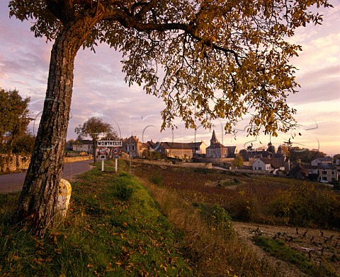 Village of Monthelie Cte dOr France   Cte de Beaune