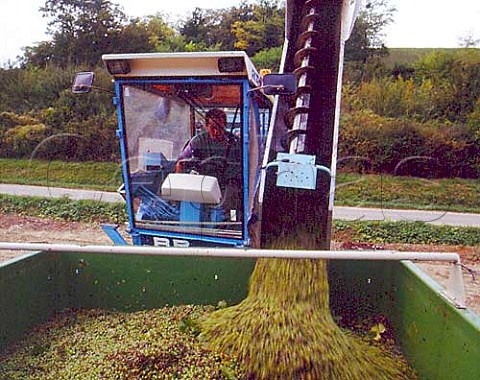 Machine harvesting of Chardonnay grapes in vineyard   of Maison Alain Geoffroy at Beine Yonne France    AC Chablis