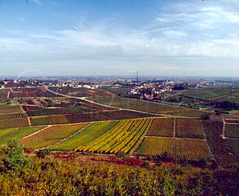 Town of Meursault viewed from above Les Duresses   vineyard in AuxeyDuresses Cote dOr France Cote   de Beaune