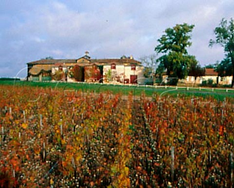 Vineyard and chais of Chteau Beychevelle   StJulien Gironde France  Mdoc  Bordeaux