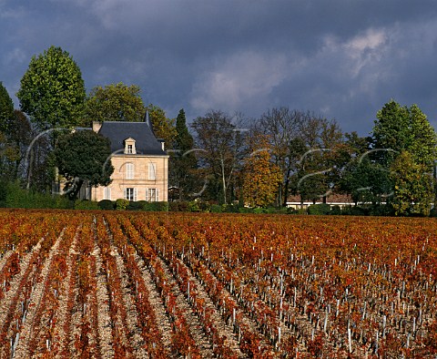 Chteau PichonLonguevilleComtessedeLalande viewed over autumnal vineyard of Chteau Latour Pauillac Gironde France  Mdoc  Bordeaux