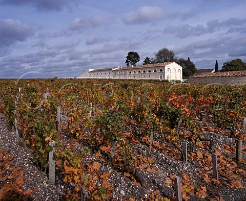 Chai of Chteau MoutonRothschild viewed over its vineyard Pauillac Gironde France  Mdoc  Bordeaux