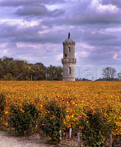 Tower in autumnal vineyard of Chteau   HautBatailley Pauillac Gironde France  Mdoc  Bordeaux