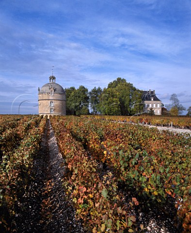 Chteau Latour and its pigeonnier viewed over  autumnal vineyard Pauillac Gironde France   Mdoc  Bordeaux