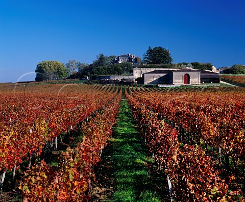 Chteau Segonzac and its chai viewed over  autumnal vineyard Near Blaye Gironde France   Premires Ctes de Blaye  Bordeaux