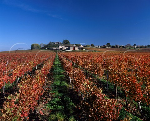 Chteau Segonzac viewed over its autumnal vineyard   near Blaye Gironde France   Premires Ctes de Blaye  Bordeaux