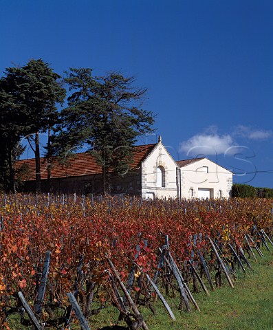 The chai of Chteau Falfas and its autumnal vineyard BayonsurGironde  Gironde France Ctes de Bourg  Bordeaux