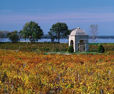 Vineyard of Chteau de Barbe with the Gironde   estuary beyond   Villeneuve Gironde France   Ctes de Bourg  Bordeaux
