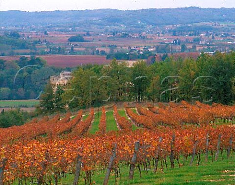 Chteau de Grezels and its vineyard   in the Lot Valley upstream of Puylvque   Lot France   AC Cahors