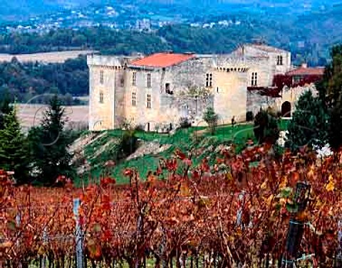 Chteau de Grezels and its vineyard  owned by   Franck and Jacques Rigal  in the Lot Valley upstream   of PuylEveque Lot France     AC Cahors