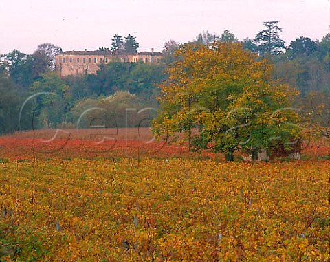 Autumnal vineyard at Pradines near Cahors Lot   France   AC Cahors