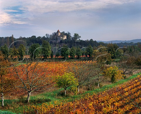 Autumnal vineyards at Douelle the chteau is on the far side of the River Lot in the village of Caillac Lot France AC Cahors