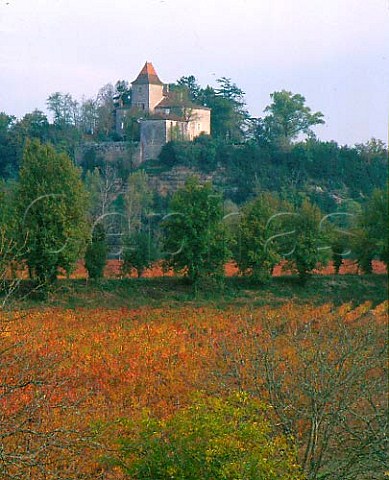 Autumnal vineyard at Douelle the chteau is on the   far side of the River Lot in the village of Caillac    Lot France AC Cahors