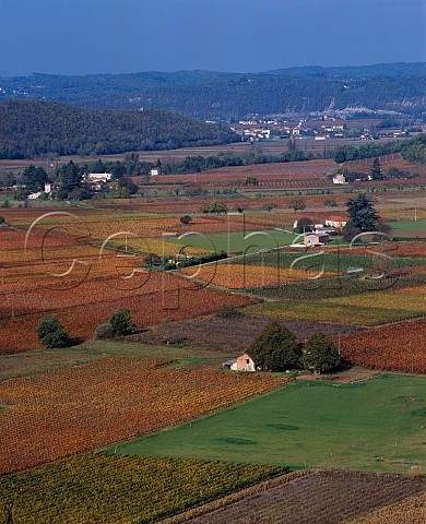 Autumnal vineyards in the Lot Valley near Prayssac Lot France AC Cahors