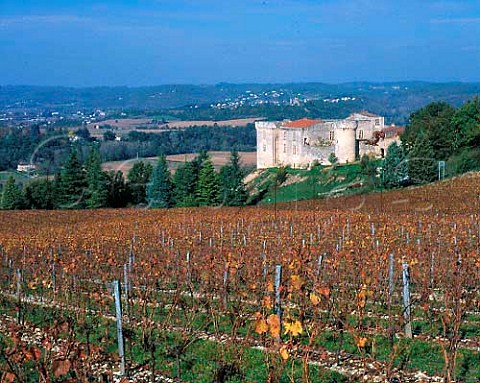 Chteau de Grezels and its vineyard in the Lot   Valley upstream of Puy lvque Lot France   Cahors