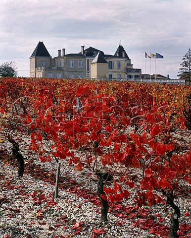 Autumnal vineyard at Chteau de France on the gravel soil from which the Graves region is named Lognan Gironde France   PessacLognan  Bordeaux