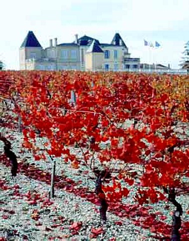 Autumnal vineyard at Chteau de France on the   gravelly soil from which the Graves region is named   Lognan Gironde France   PessacLognan  Bordeaux