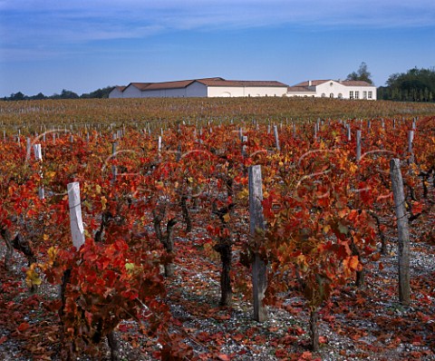 Autumnal vineyards around Chteau de Fieuzal   Lognan Gironde France     PessacLognan  Bordeaux