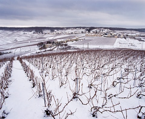 Snow covers the vineyards and village of Cramant on the Cte des Blancs Marne France  Champagne