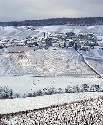 Snow covered vineyards around the village of Monthlon viewed from near Cuis south of pernay Marne France    Champagne