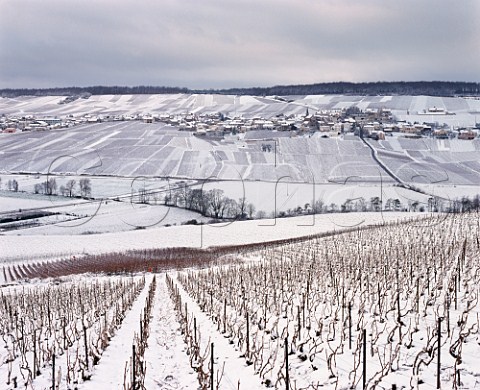 Winter view from vineyards at Cuis to the village of Monthelon south of pernay Marne France Champagne