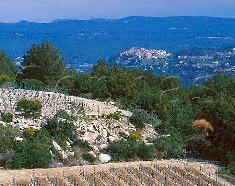 Vineyards of Chteau de Pibarnon with the hilltop   village of Le Castellet beyond      Var France    AC Bandol