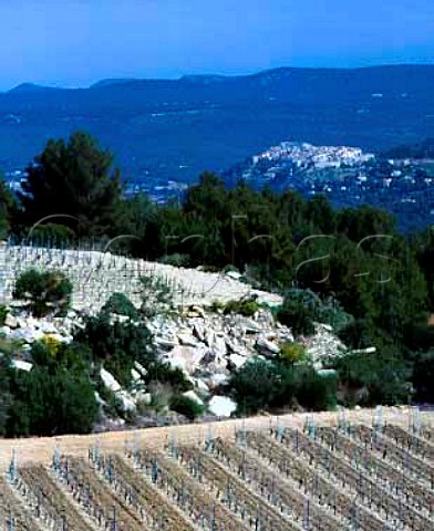 New vineyards of Chateau de Pibarnon in the early   Spring  the hilltop village beyond is Le Castellet    Var France AC Bandol