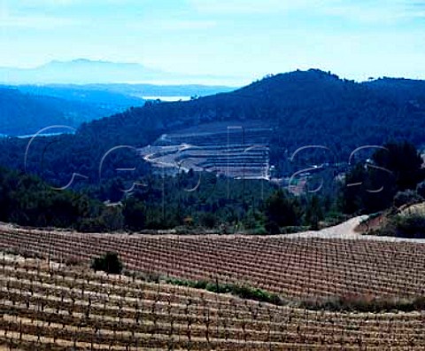 New vineyards of Chteau de Pibarnon in the early   spring  La CadiredAzur Var France AC Bandol