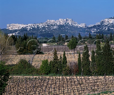 Vineyards of Mas de la Dame with the medieval   citadel of Les Baux beyond   BouchesduRhne France   AC Les BauxdeProvence